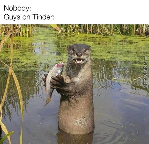 Nobody:
Guys On Tinder:
