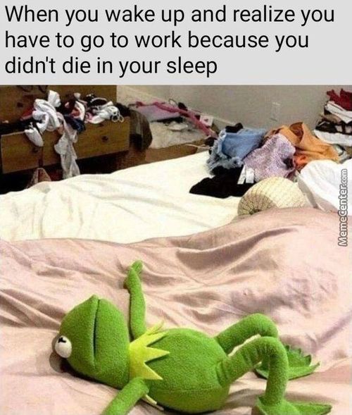 When You Wake Up And Realize You
Have To Go To Work Because You
Didn't Die In Your Sleep
