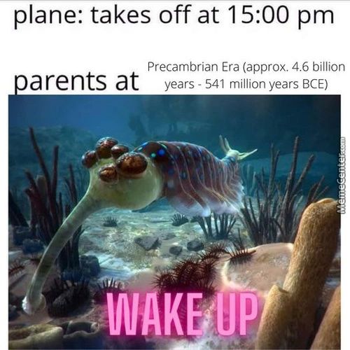 Plane: Takes Off At 15:00 Pm
Precambrian Era (approx. 4.6 Billion
Arents At
Years - 541 Million Years BCE)
