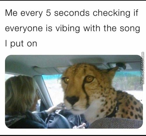 Me Every 5 Seconds Checking If
Everyone Is Vibing With The Song
I Put On
