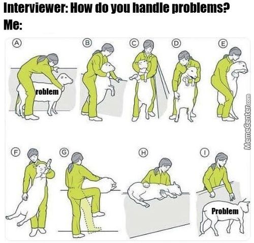 Interviewer: How Do You Handle Problems?
Me:
Problem
