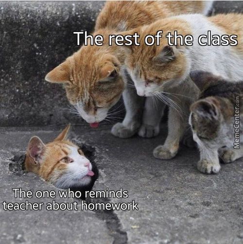 The Restofthe Class
*the One.æho Reminds*
Jteåcher Aböut Hemeworkä: 
