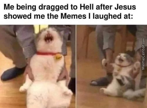 Me Being Dragged To Hell After Jesus
Showed Me The Memes I Laughed At:
