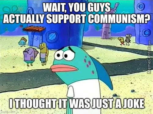 WAIT, YOU GüVs
ACTUALLY SUPPORT COMMUNISM?
I THOUGHT IT Was JUST A JOKE
