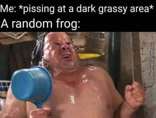 Me: *pissing At A Dark Grassy Area*
A Random Frog:
