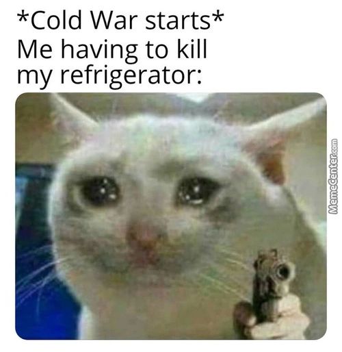 *Cold War Starts*
Me Having To Kill
My Refrigerator:
