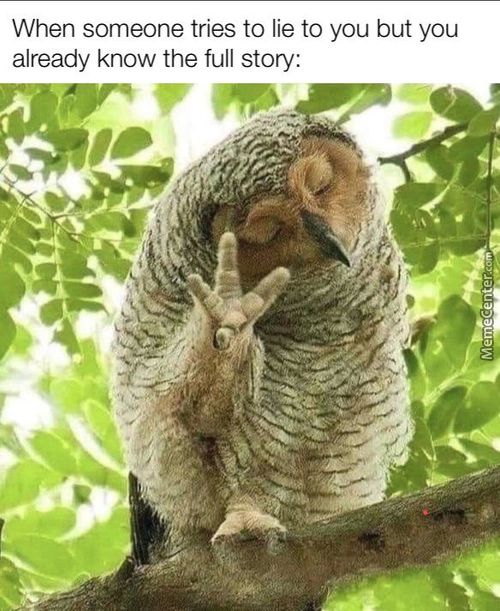 When Someone Tries To Lie To You But You
Already Know The Full Story:
