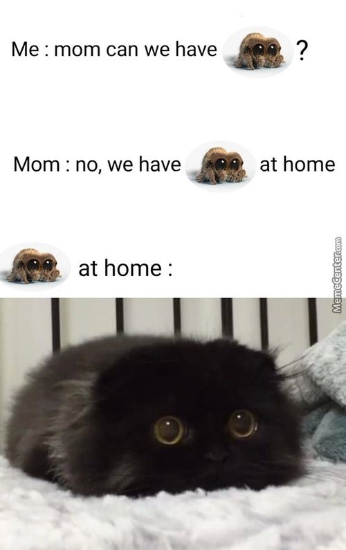 Me : Mom Can We Have
Mom : No, We Have
At Home:
At Home
