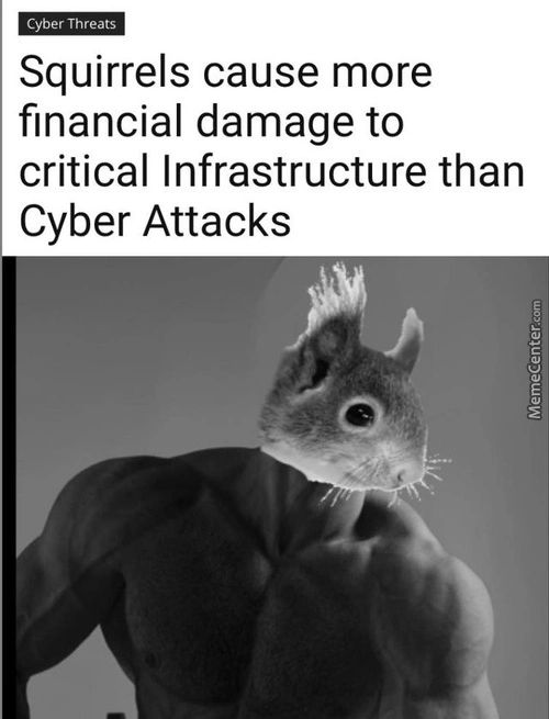 Cyber Threats
Squirrels Cause More
Financial Damage To
Critical Infrastructure Than
Cyber Attacks
Cyber Threats
Squirrels Cause More
Financial Damage To
Critical Infrastructure Than
Cyber Attacks