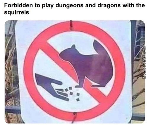 Forbidden To Play Dungeons And Dragons With The
Squirrels
