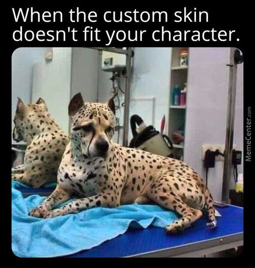 When The Custom Skin
Doesn't Fit Your Character.
