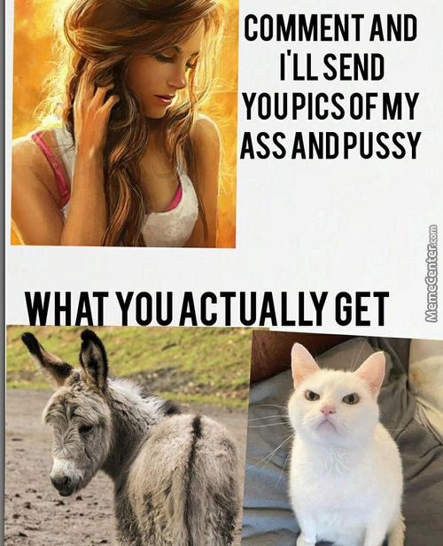 COMMENT AND
I'LL SEND
JYOUPICSOFMY
ASSANDPUSSY
WHAT YOU ACTUALLY
