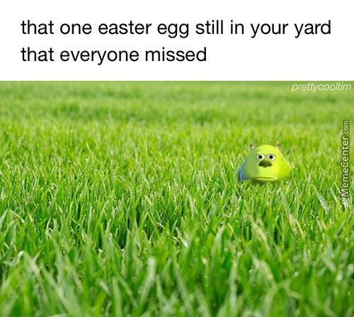 That One Easter Egg Still In Your Yard
That Everyone Missed
