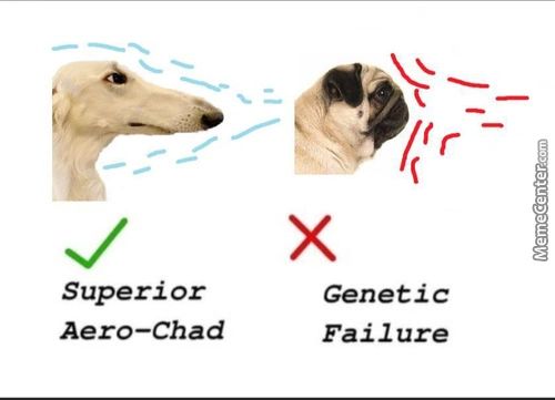 Superior
Aero—Chad
Genetic
Failure
