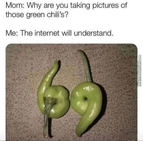 Mom: Why Are You Taking Pictures Of
Those Green Chili's?
Me: The Internet Will Understand.
