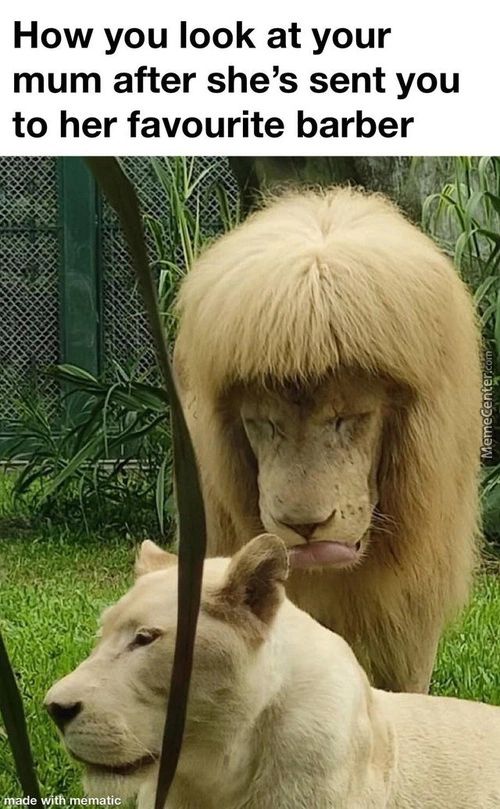 How You Look At Your
Mum After She's Sent You
To Her Favourite Barber
