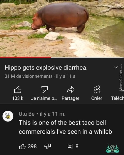 Hippo Gets Explosive Diarrhea.
31 M De Visionnements • Il Ya 11 A
103k Je N'aime P... Partager
O
Utu Be • Il Ya 11 M.
Créer
Téléch
This Is One Of The Best Taco Bell
Commercials I've Seen In A Whileb
398
