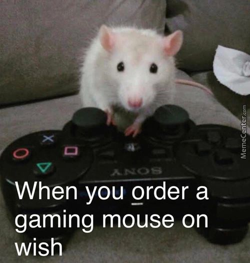 M/hen You Order A
Gaming Mouse On
Wish
