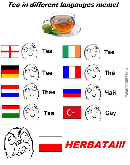 Tea In Different Langauges Meme!
+6
Tae
Thé
Mai
Gay
