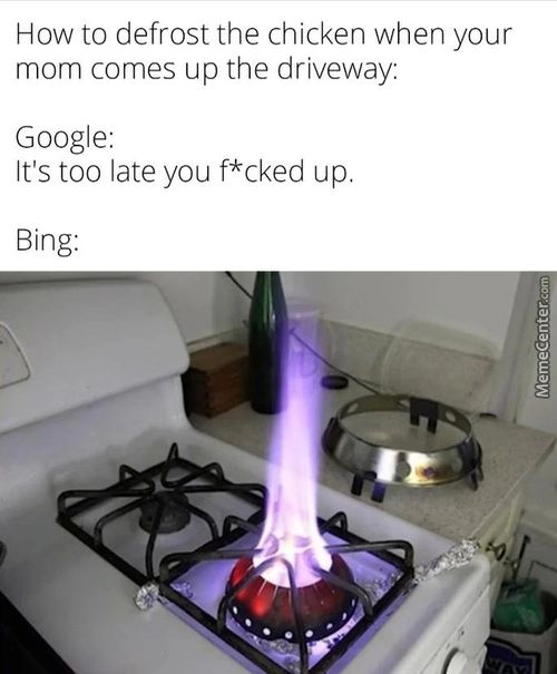 How To Defrost The Chicken When Your
Mom Comes Up The Driveway:
Google:
It's Too Late You F*cked Up.
Bing:

