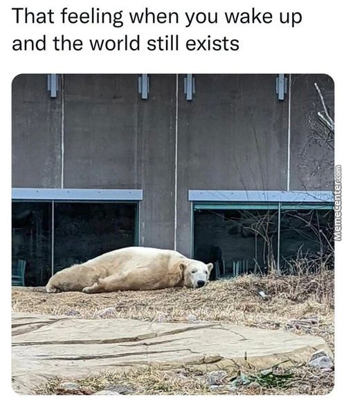 That Feeling When You Wake Up
And The World Still Exists
