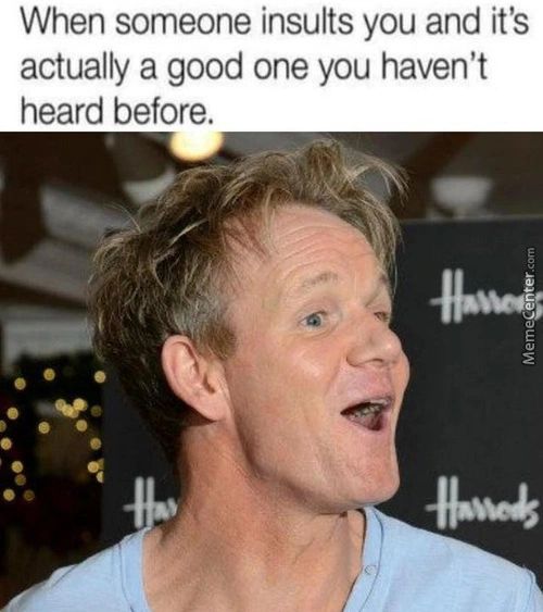 When Someone Insults You And It's
Actually A Good One You Haven't
Heard Before.
