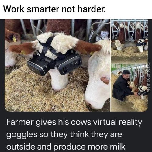 Work Smarter Not Harder:
Farmer Gives His Cows Virtual Reality
Goggles So They Think They Are
Outside And Produce More Milk
