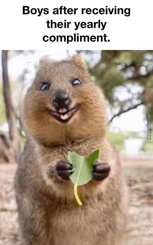 Boys After Receiving
Their Yearly
Compliment.

