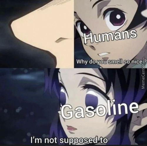 Humans
Why Do You Stnell So Nice..
Gasoline.'
I'm Not Suppgs.ed To
