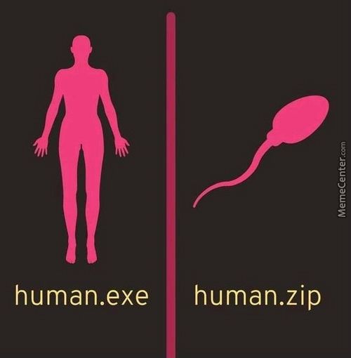 Human.exe
Human.zip
