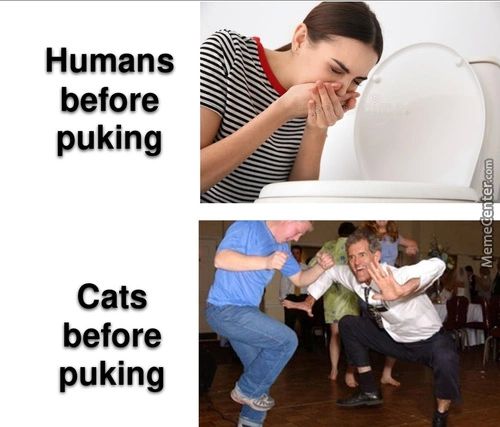 Humans
Before
Puking
Cats
Before
Puking
ARV'
