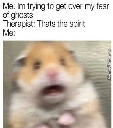 Me: Im Trying To Get Over My Fear
Of Ghosts
Therapist: Thats The Spirit
