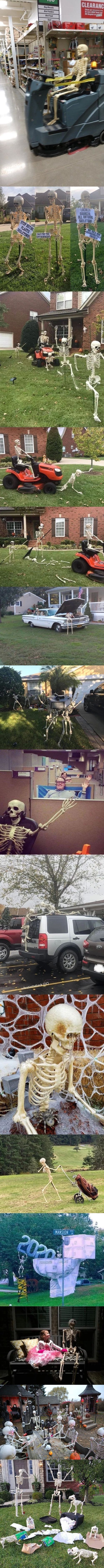 Bird F' Edets
Gird
CLEARANC
SDURtEO
SKELETODS
MANSION
1/10
