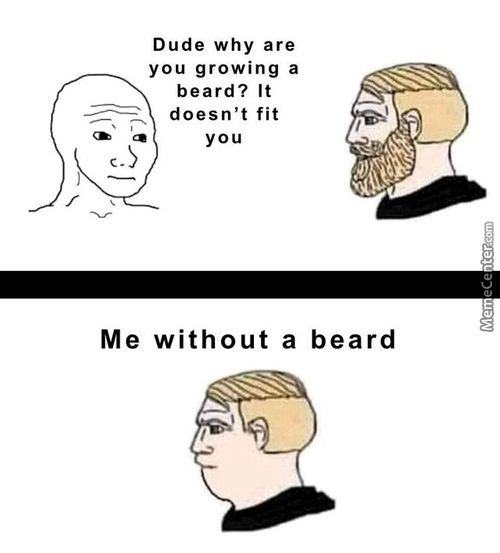 Dude Why Are
You Growing A
Beard? It
Doesn't Fit
You
Me Without A Beard

