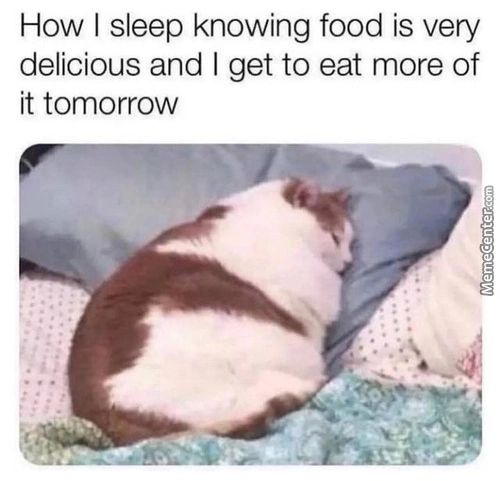 How I Sleep Knowing Food Is Very
Delicious And I Get To Eat More Of
It Tomorrow
