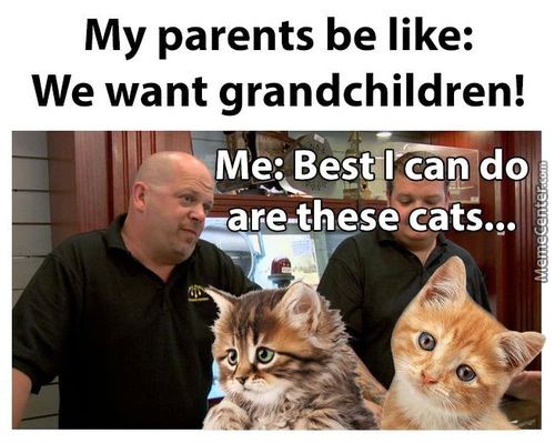 My Parents Be Like:
We Want Grandchildren!
Me: Bes%lsap Do
Are-these*ats.,.
