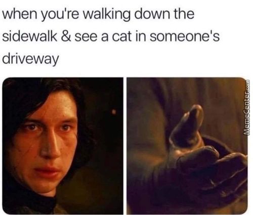 When You're Walking Down The
Sidewalk & See A Cat In Someone's
Driveway
