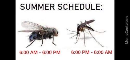 SUMMER SCHEDULE:
6:00 AM - 6:00 PM 6:00 PM - 6:00 AM
