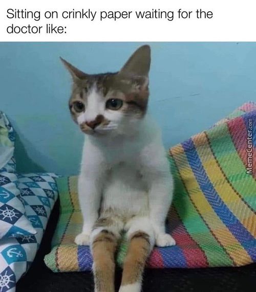 Sitting On Crinkly Paper Waiting For The
Doctor Like:
