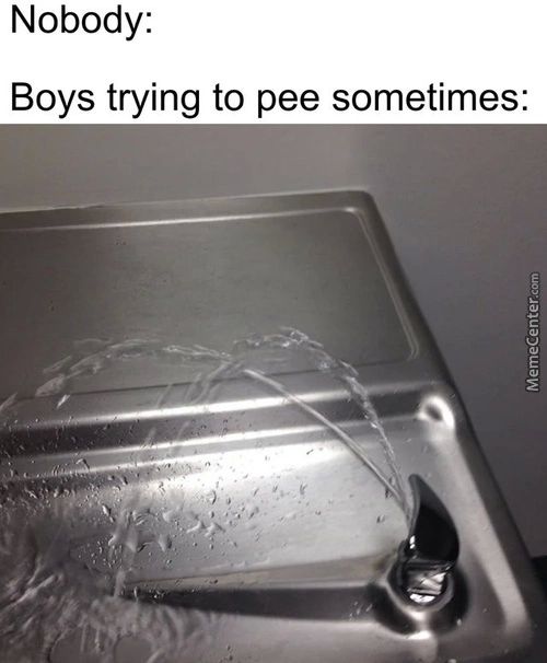 Nobody:
Boys Trying To Pee Sometimes:
