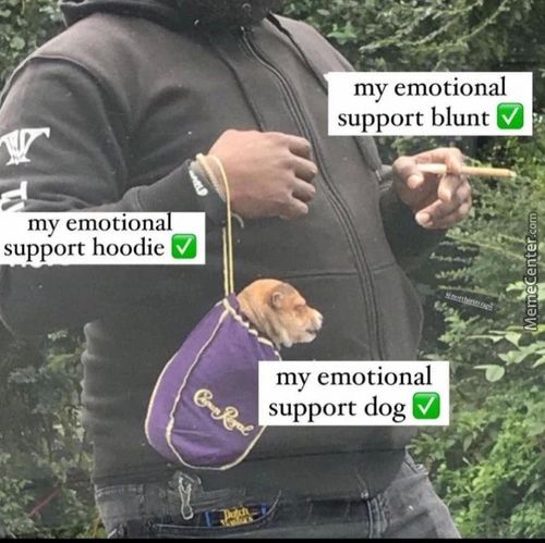 My Emotional
Support Blunt
My Emotion
Support Hoodie
My Emotional
Support Dog
