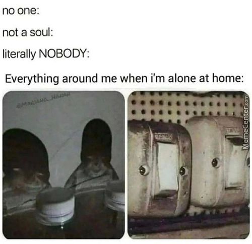 No One:
Not A Soul:
Literally NOBODY:
Everything Around Me When I'm Alone At Home:
