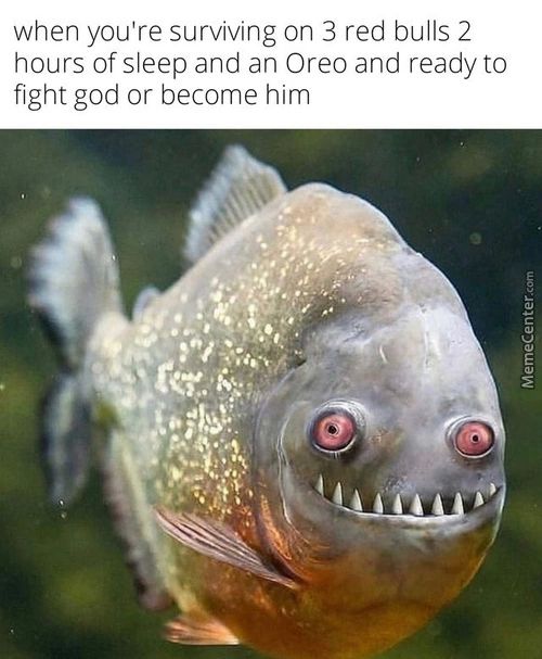 When You're Surviving On 3 Red Bulls 2
Hours Of Sleep And An Oreo And Ready To
Fight God Or Become Him
