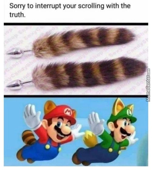 Sorry To Interrupt Your Scrolling With The
Truth.
