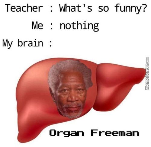 Teacher
Me
My Brain
Bhat's So Funny?
Nothing
Organ
F Reeman
