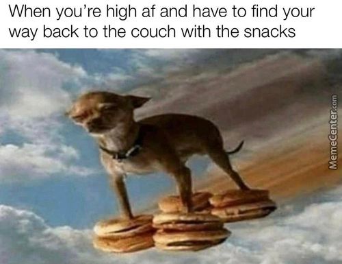 When You're High Af And Have To Find Your
Way Back To The Couch With The Snacks
