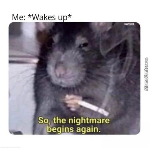 Me: *Wakes U *
So,lthe Nightmare
Dbegims Again.
