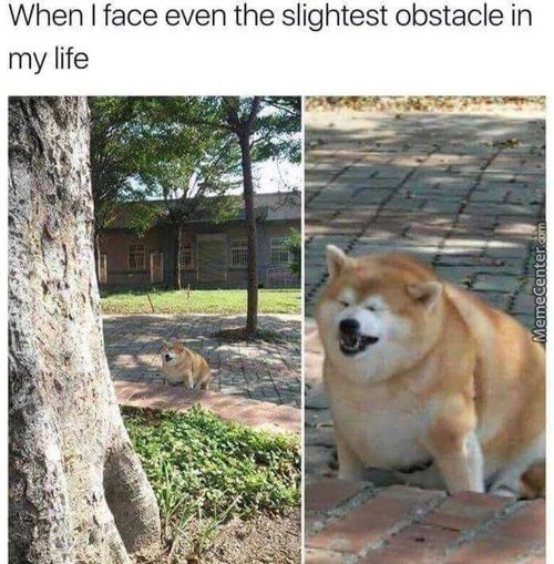 When I Face Even The Slightest Obstacle In
My Life
