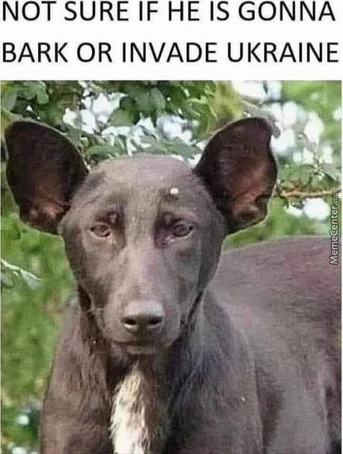 NOT SURE IF HE IS GONNA
BARK OR INVADE UKRAINE
