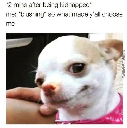 *2 Mins After Being Kidnapped*
Me: *blushing* So What Made Y'all Choose
Me
